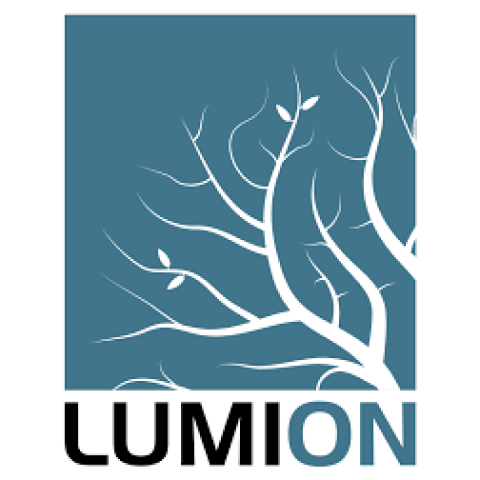 Lumion